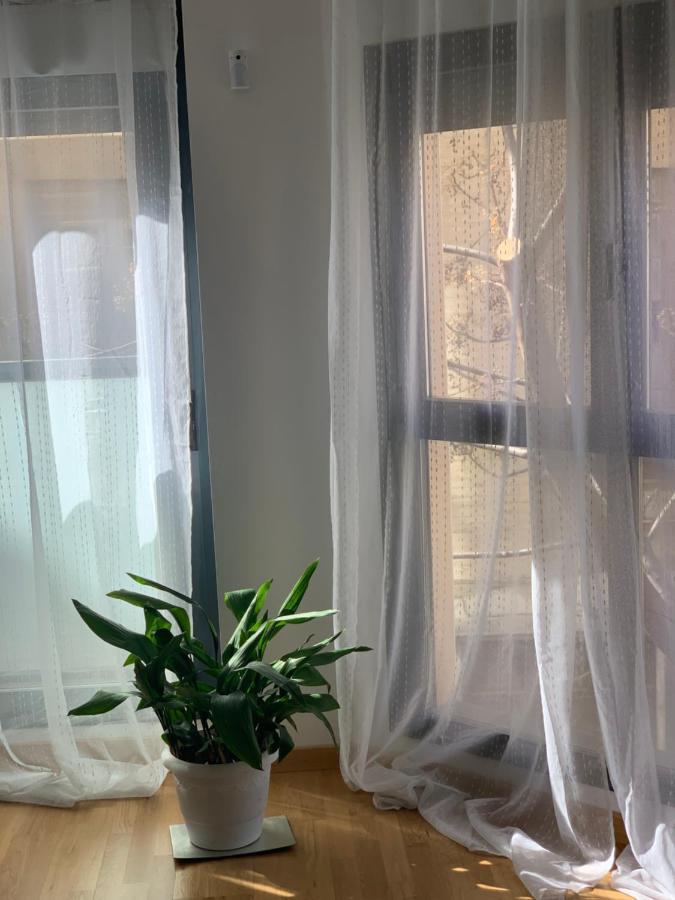New, Cozy Apartment Plaza Del Pilar-Fuenclara Zaragoza Exteriör bild